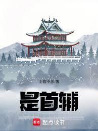 我的老师是首辅